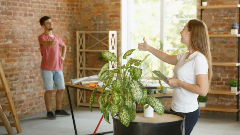 Técnicas para harmonizar sua casa com a natureza.