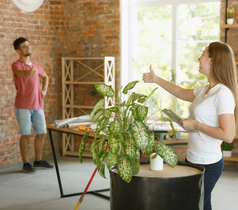 Técnicas para harmonizar sua casa com a natureza.